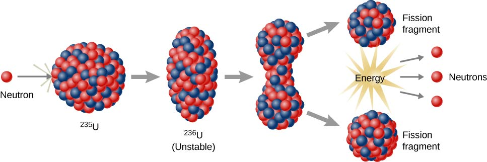 Une image contenant fruit Le contenu généré par l’IA peut être incorrect.